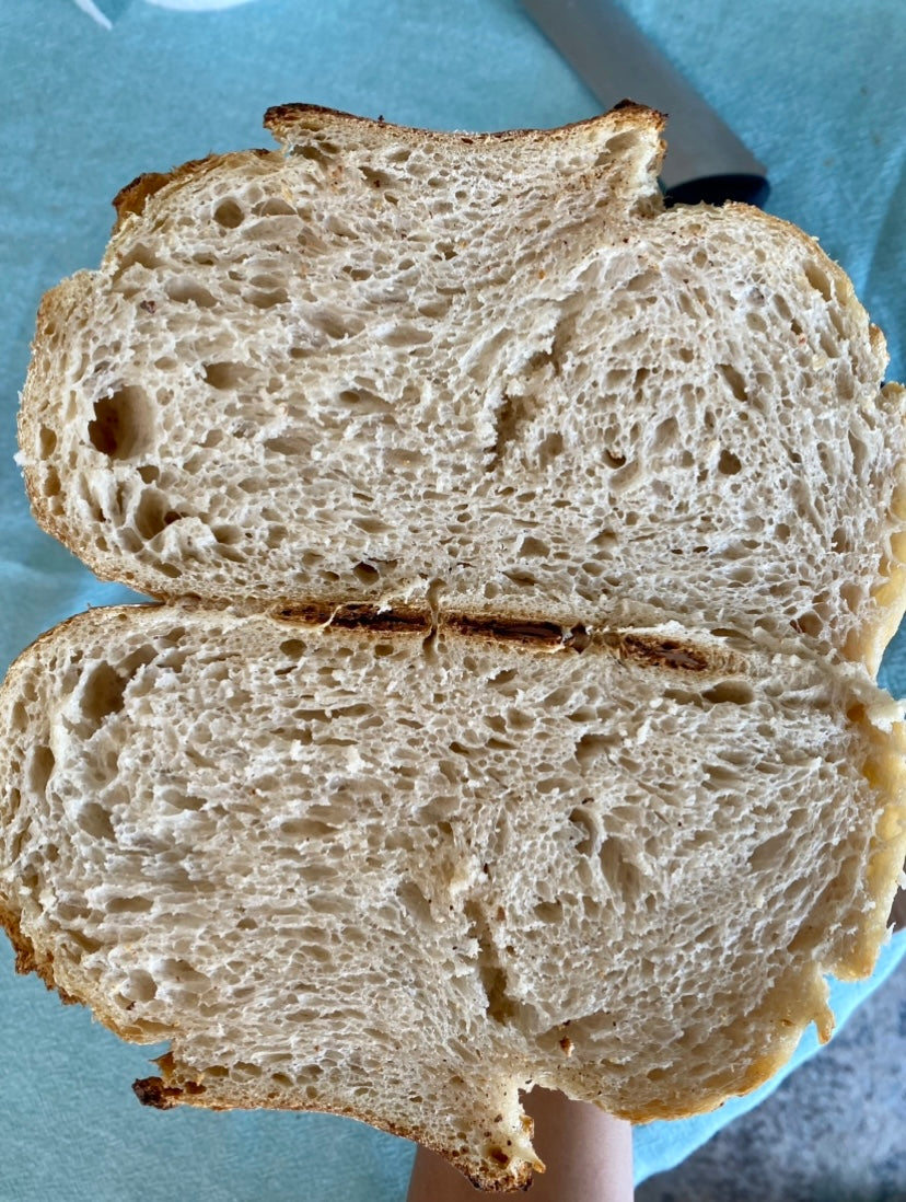 Organic Sourdough Classic